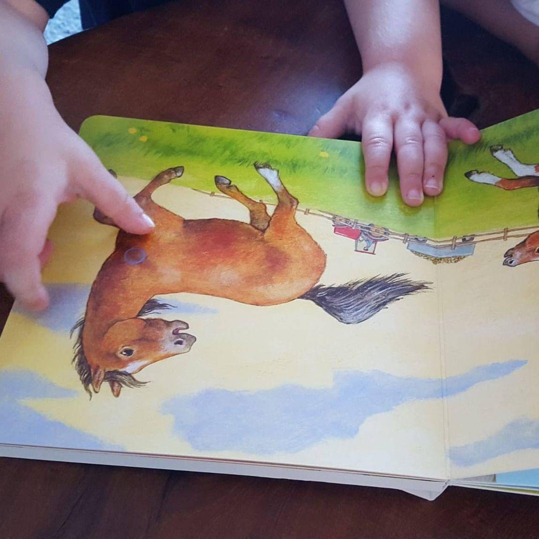 Foto eines Kindes, welches sich ein Bilderbuch anschaut